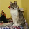 Отзыв от Ирина Дубровина